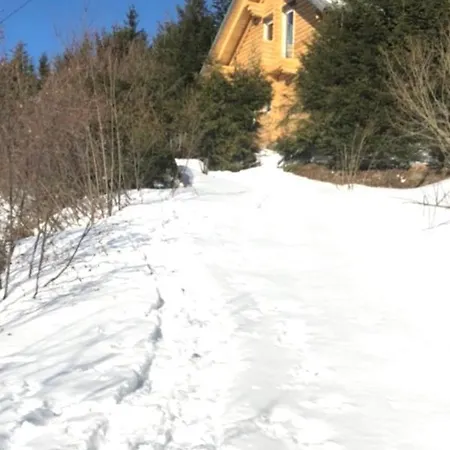 Alpenchalet Grabner Alm Am Praebichl בקתה