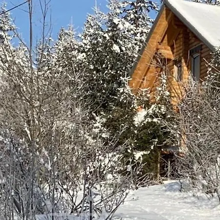 בקתה Alpenchalet Grabner Alm Am Praebichl *