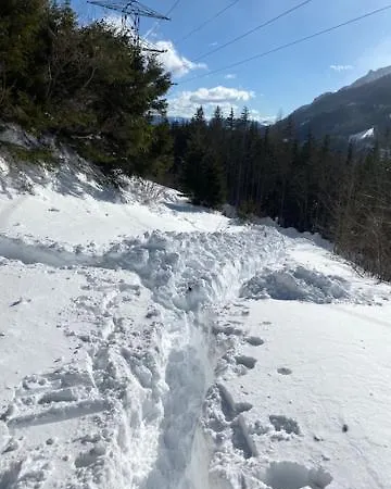 Alpenchalet Grabner Alm Am Praebichl *
