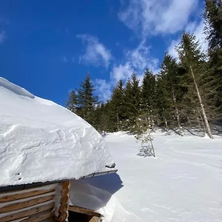 Alpesi faház Alpenchalet Grabner Alm Am Praebichl