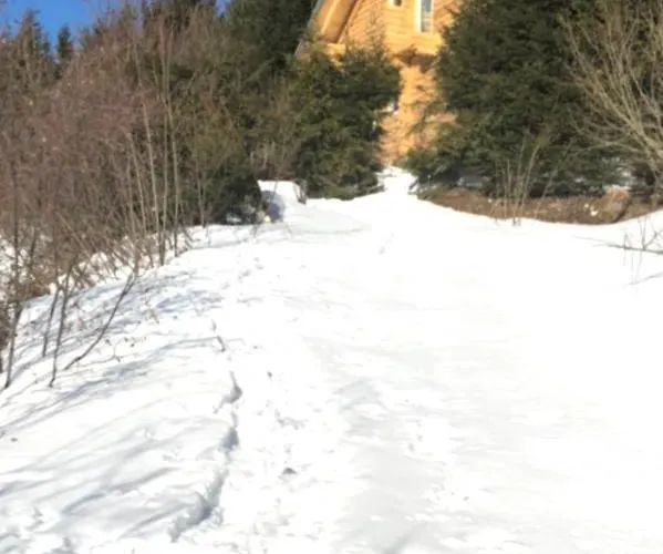 Alpenchalet Grabner Alm Am Praebichl 木屋