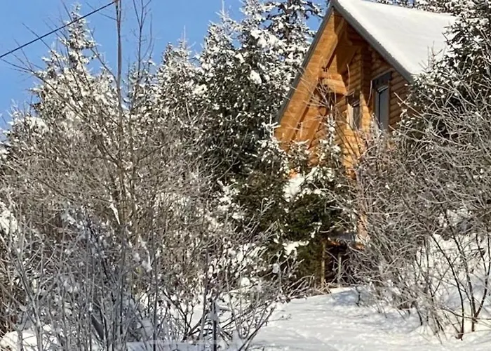 木屋 Alpenchalet Grabner Alm Am Praebichl *